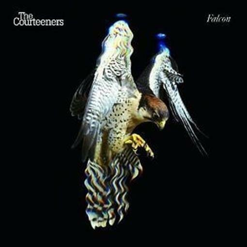 COURTEENERS, THE: Falcon: CD NEW